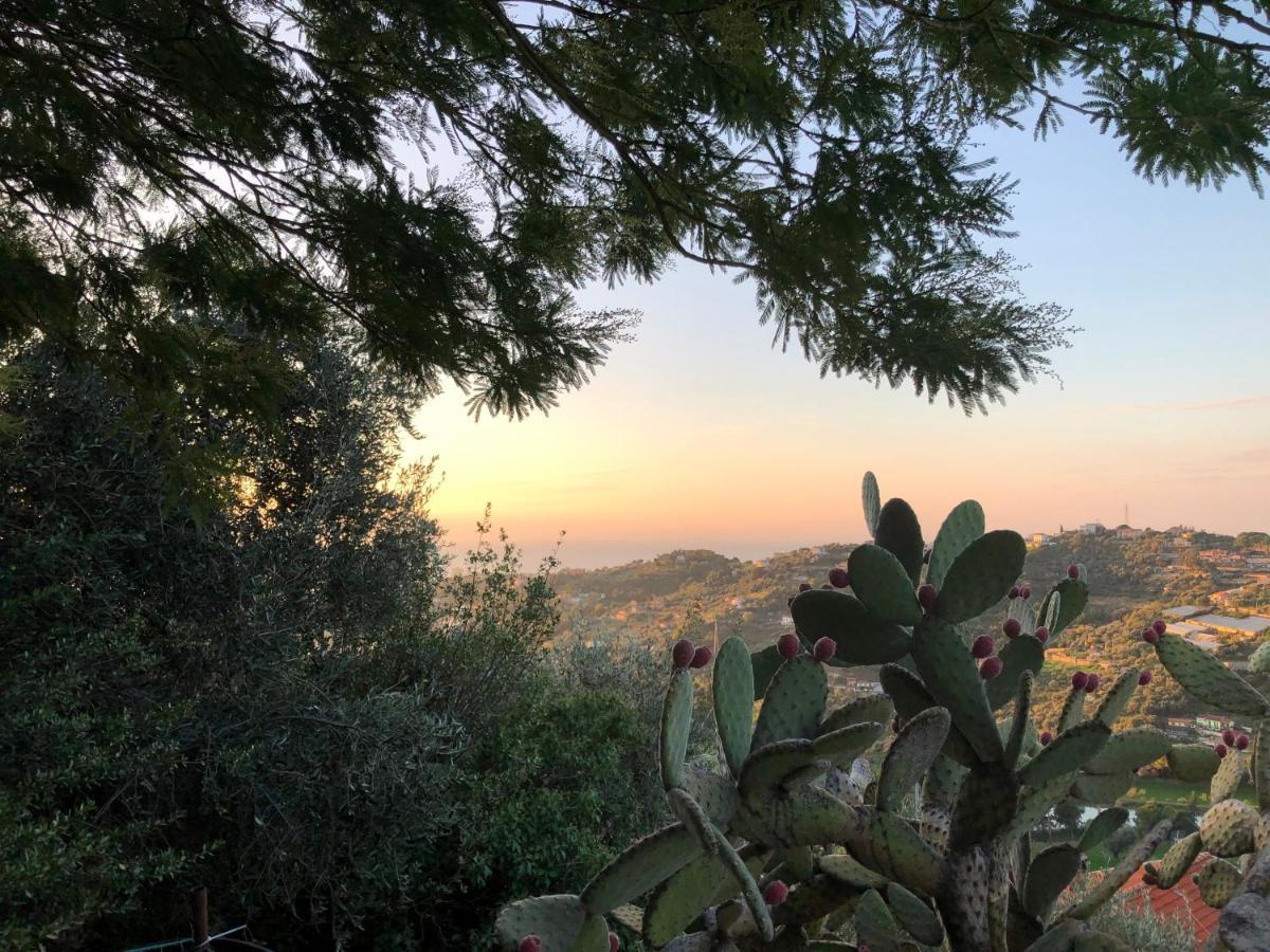 Villa D'Artisti San Remo Kültér fotó