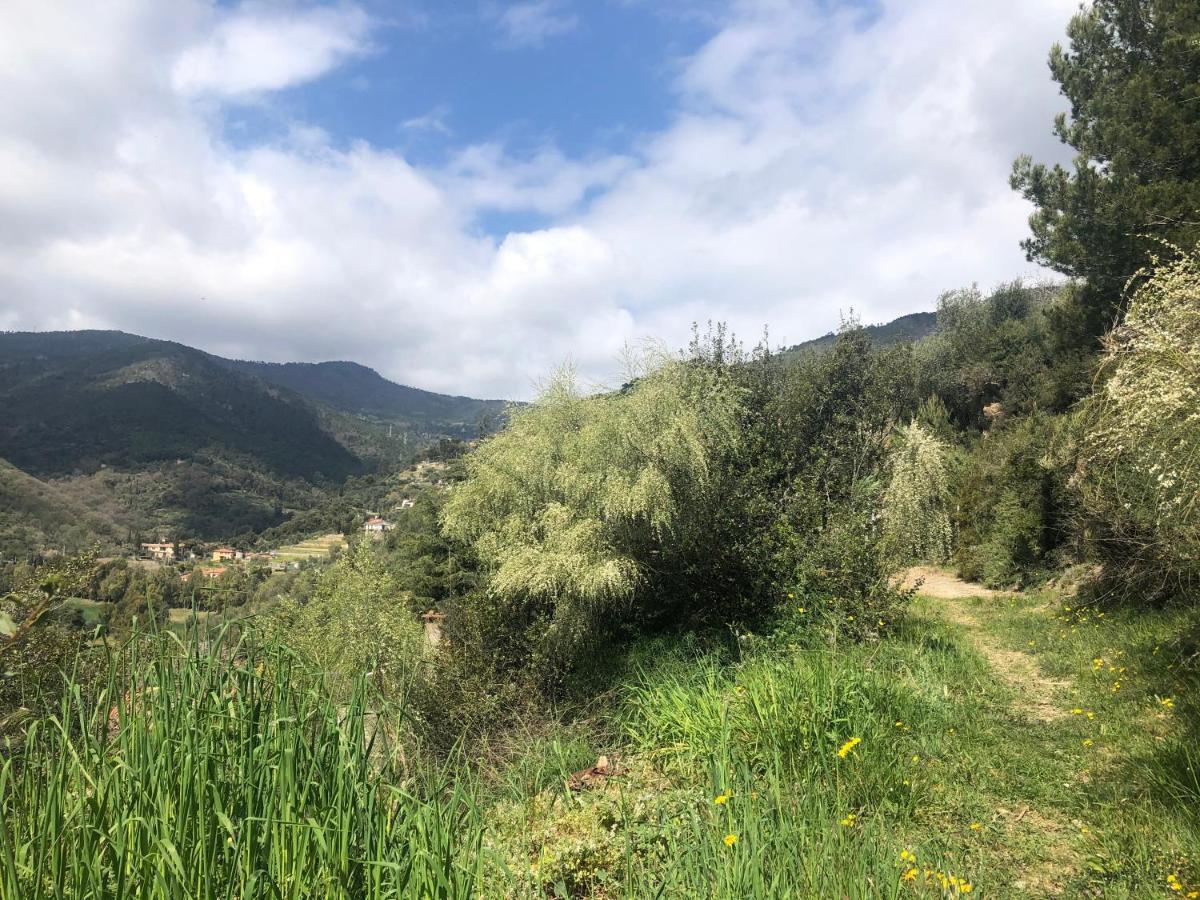 Villa D'Artisti San Remo Kültér fotó