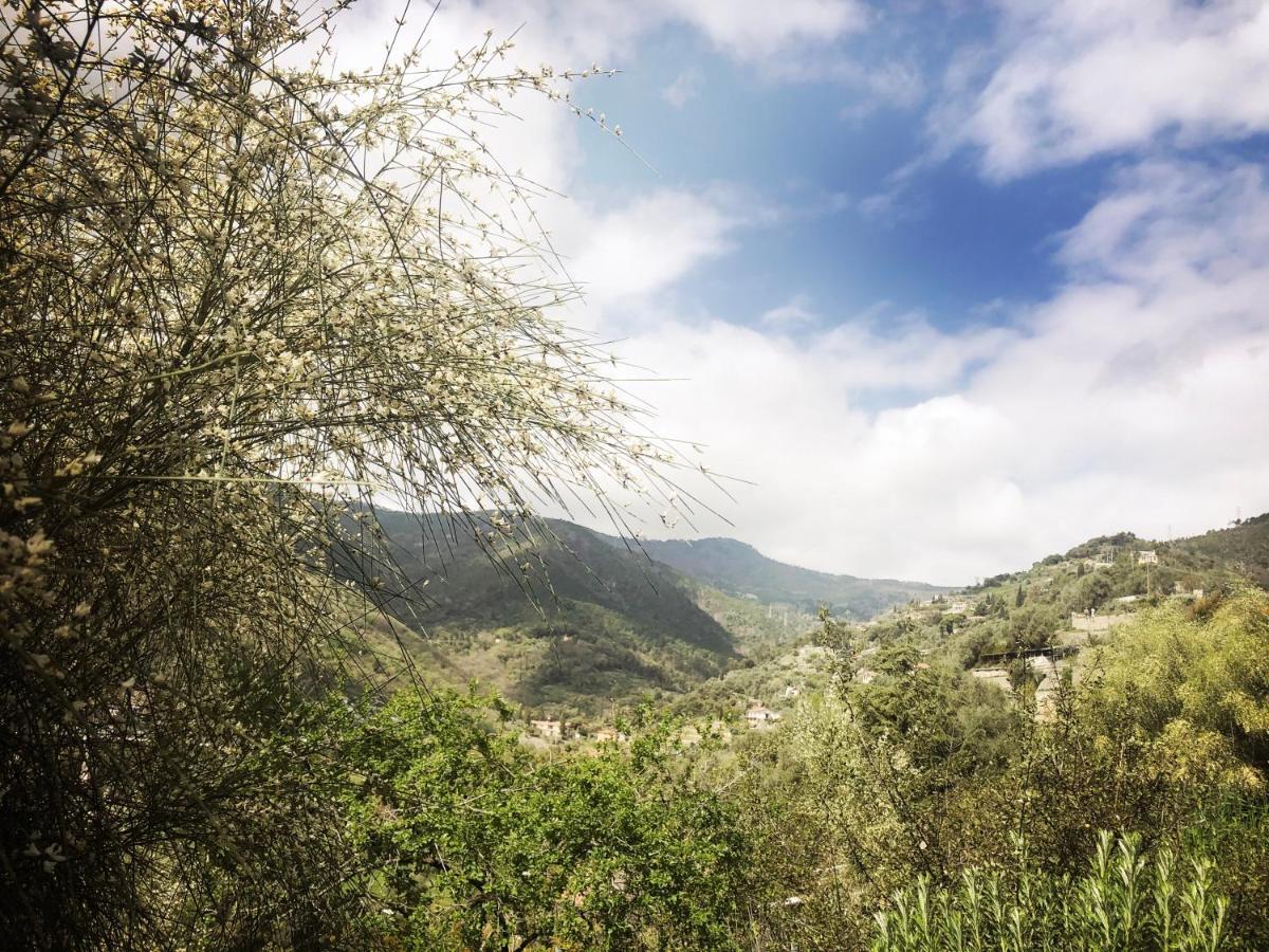 Villa D'Artisti San Remo Kültér fotó