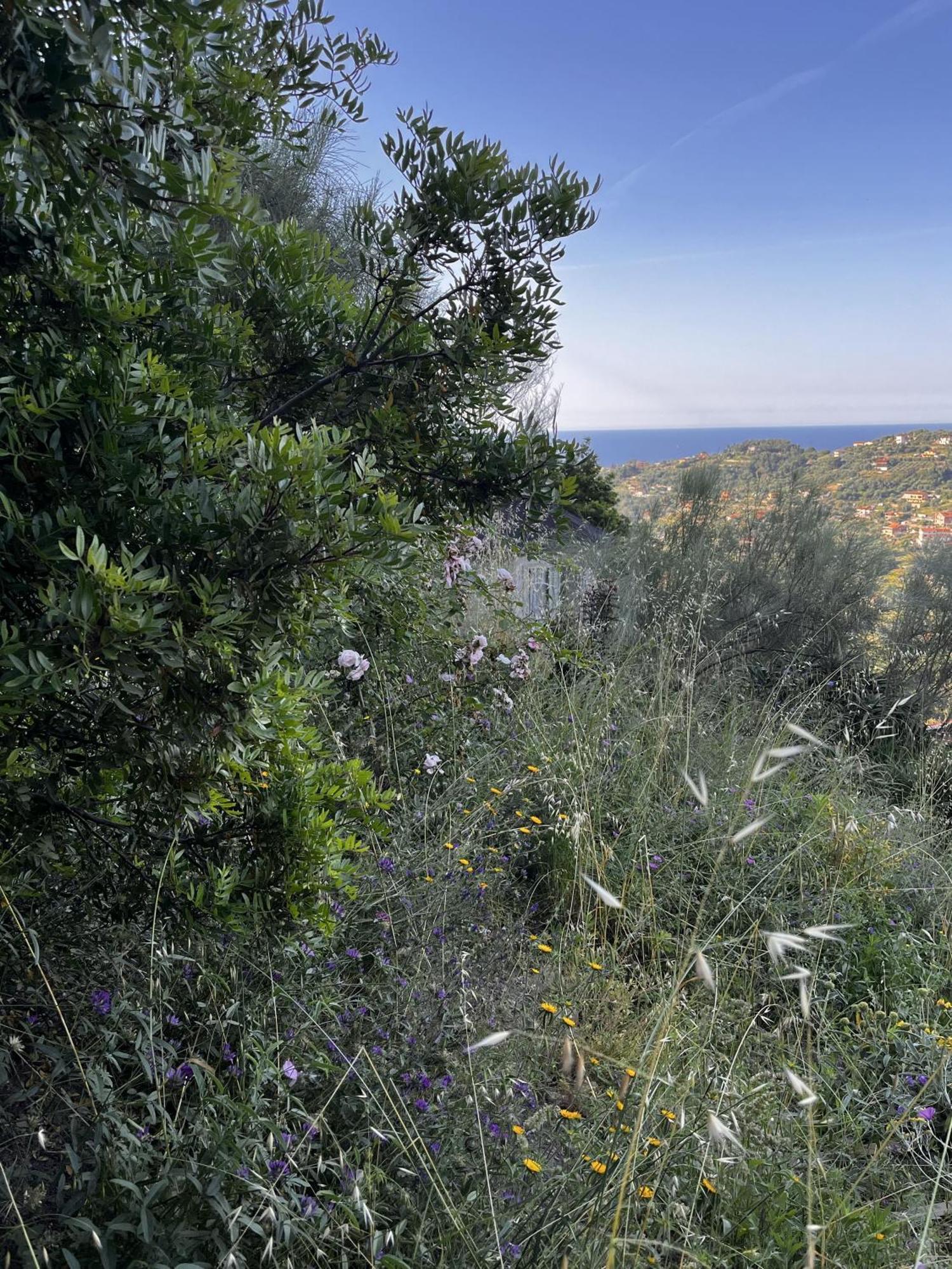 Villa D'Artisti San Remo Kültér fotó