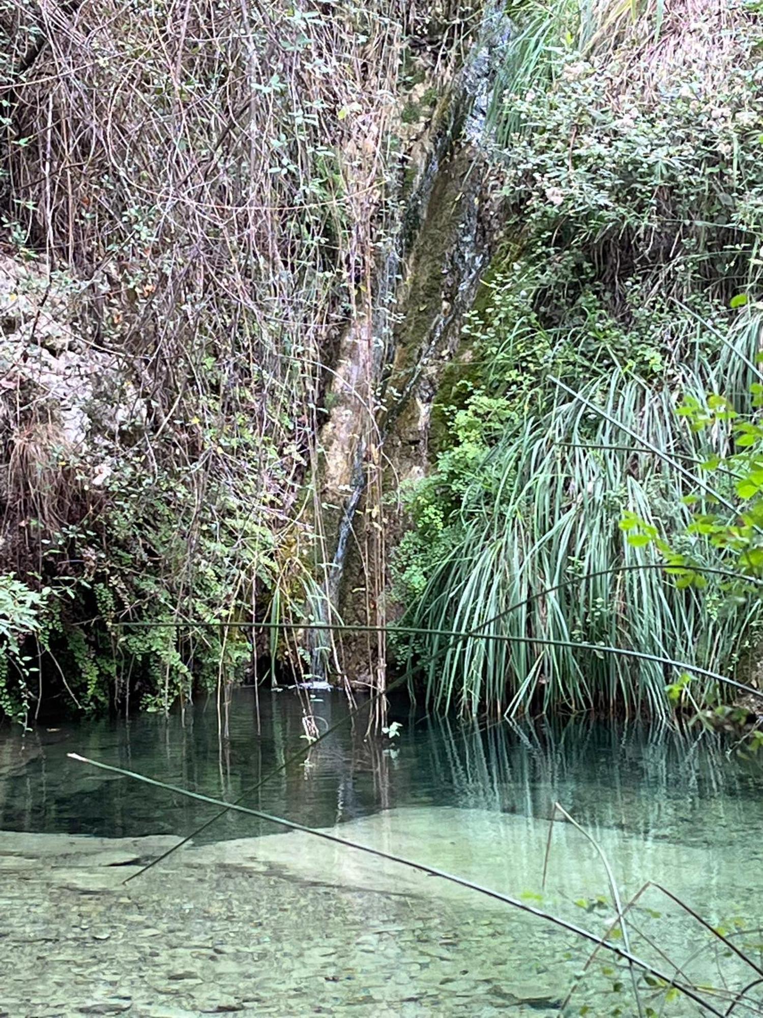Villa D'Artisti San Remo Kültér fotó